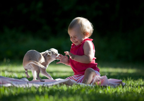 赵昕雅名字怎么样|带昕字的名字_雅字取名打分测试